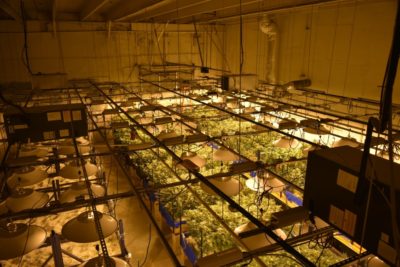 Medizinisches Cannabis: Aphria-“Tresor” in Neumünster nimmt Konturen an
