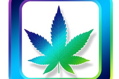 Google zeigt Cannabis-Apps die Rote Karte