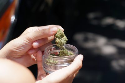 Selektivvertrag: Patienten sollen schneller an medizinisches Cannabis gelangen