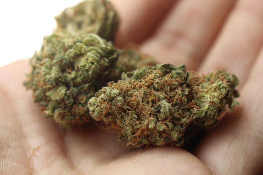 US-Bundesstaaten: „Cannabis ist essenziell“
